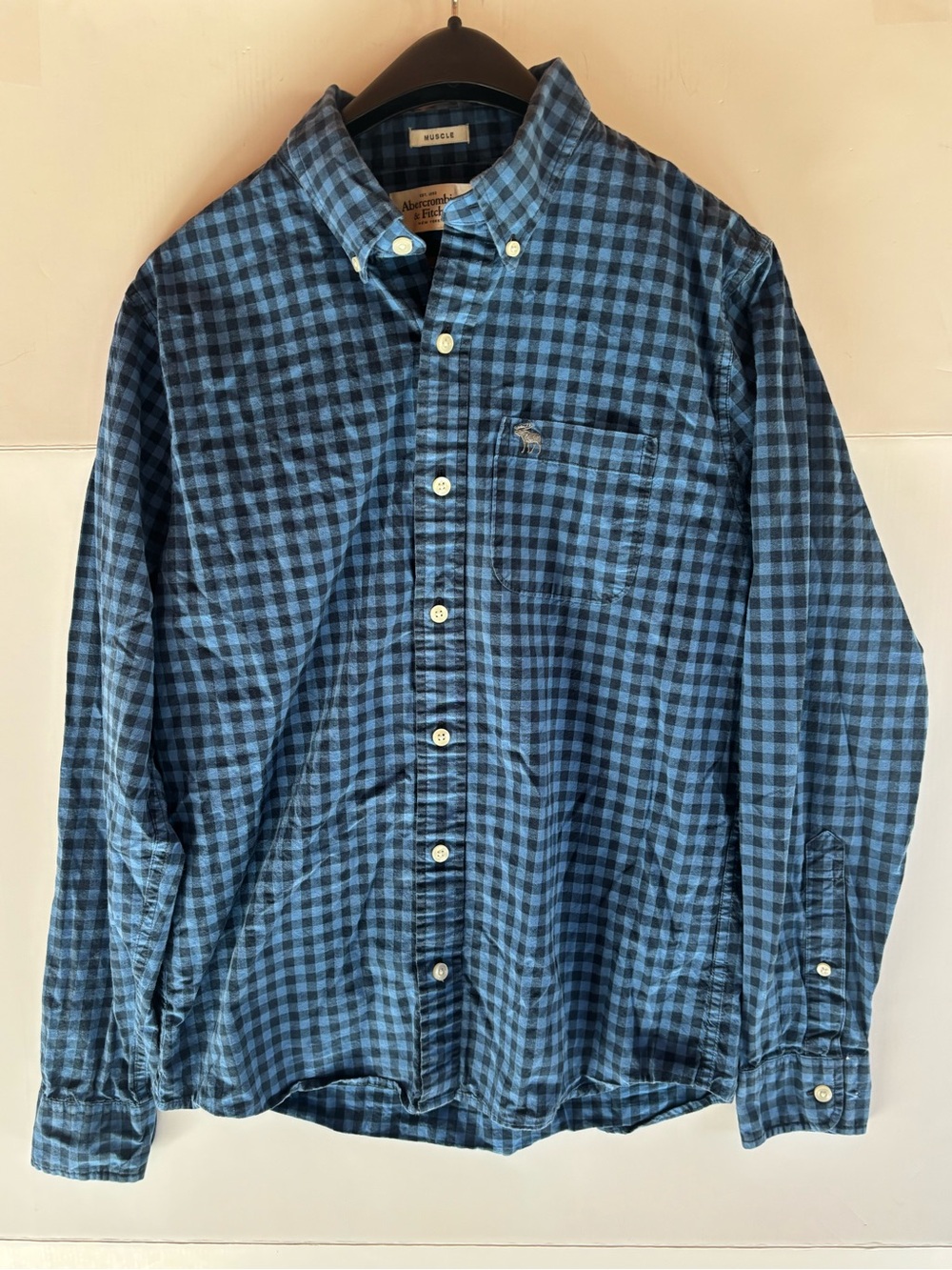 Abercrombie & Fitch Men’s M Blue/Black Check Woven Cotton Button-Down Pockets